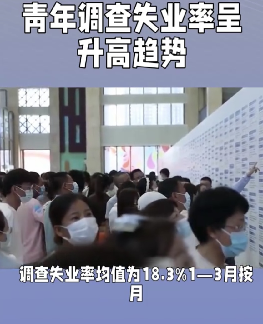 就业难！近五年青年调查失业率呈升高趋势