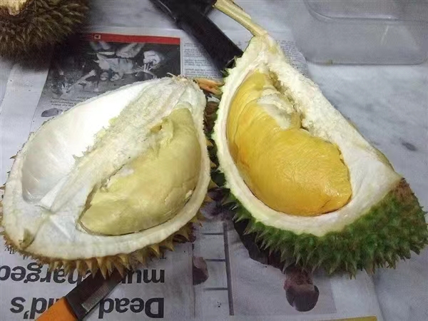 辛巴带货致榴莲价格上涨！