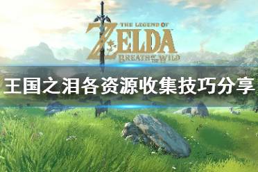 《塞尔达传说王国之泪》攻略——各资源收集技巧