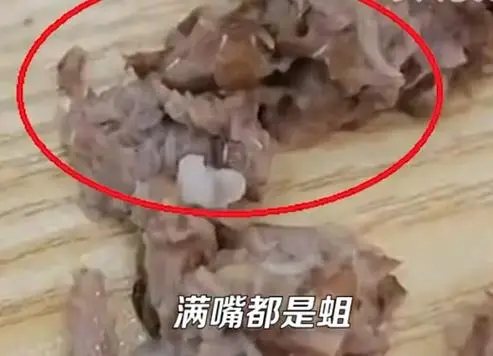 恶心，女子在黄焖排骨店发现蛆虫？！