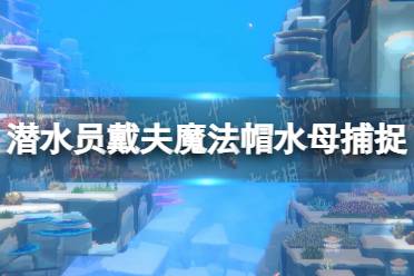 《潜水员戴夫》攻略——魔法帽水母怎么捕捉