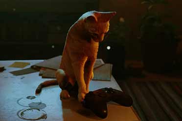 （详情）猫咪冒险游戏《Stray》官宣将于8月10日登陆Xbox平台