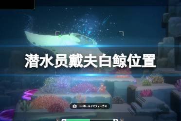 《潜水员戴夫》攻略——白鲸在哪里