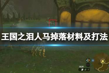 《塞尔达传说王国之泪》攻略——德莱尼怎么打