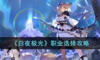 《白夜极光》攻略——职业选择攻略