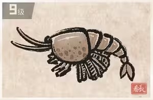 《潜水员戴夫》攻略——捉虾方法