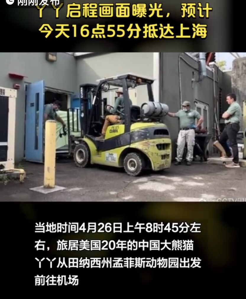 欢迎回家！丫丫终于启程，画面首曝光