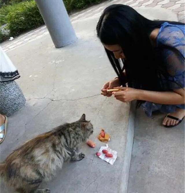 女生兼职上门喂猫遭恋踩癖骚扰！