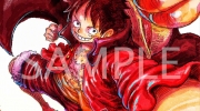 （焦点）《海贼王》尾田荣一郎新绘