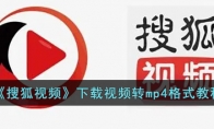 《搜狐视频》攻略——下载视频转mp4格式教程