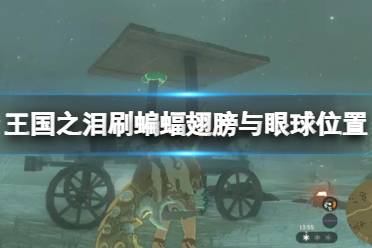 《塞尔达传说王国之泪》攻略——蝙蝠翅膀在哪刷