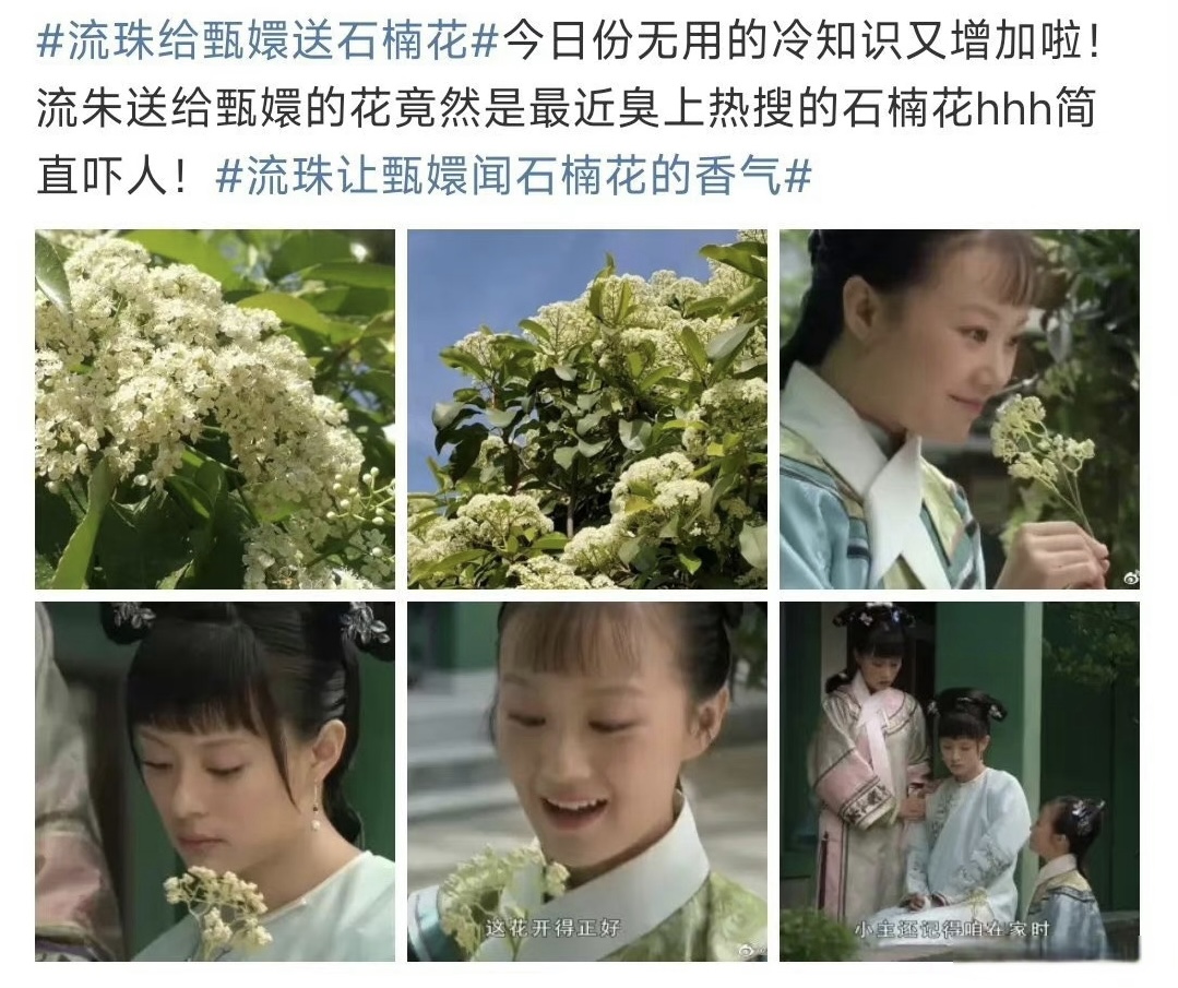 强人所难！流朱让甄嬛闻石楠花的香气