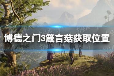 《博德之门3》攻略——箴言菇在哪