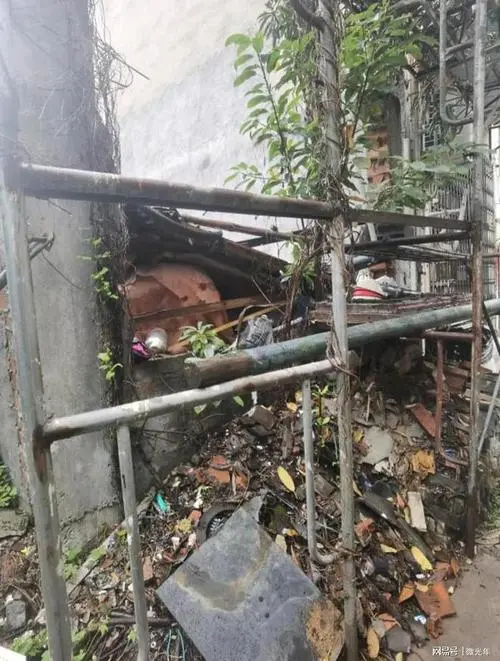 几个铁架子卖270万？浙江一学区房引发争议