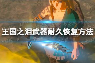 《塞尔达传说王国之泪》攻略——武器耐久恢复方法