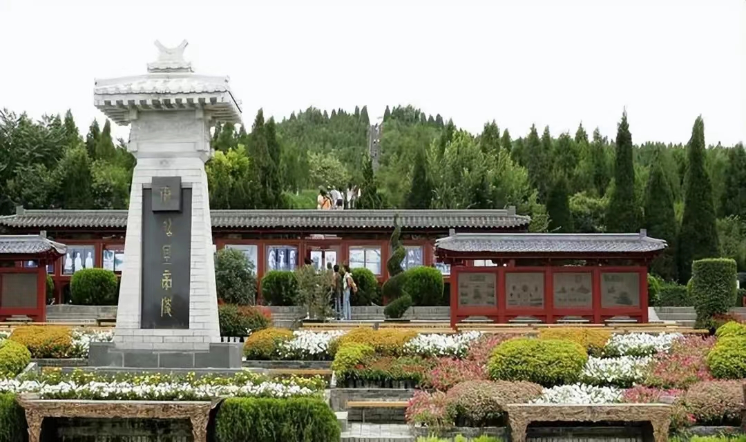 老人土葬后被镇政府挖坟，土葬真的被禁了？