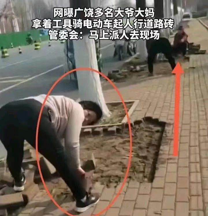 离谱，多名老人撬走人行道地砖